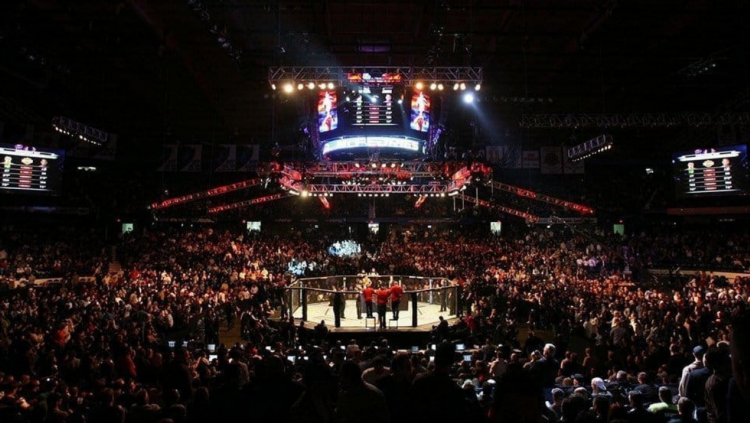 Ближайший ufc турнир