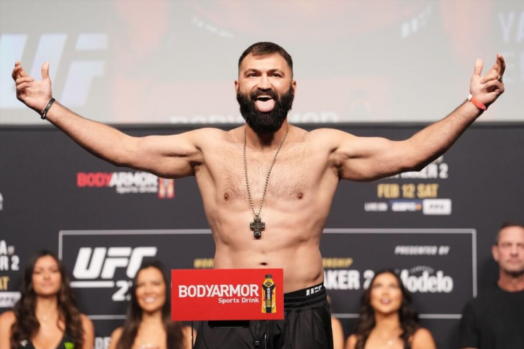 Чемпионы ufc на данный момент