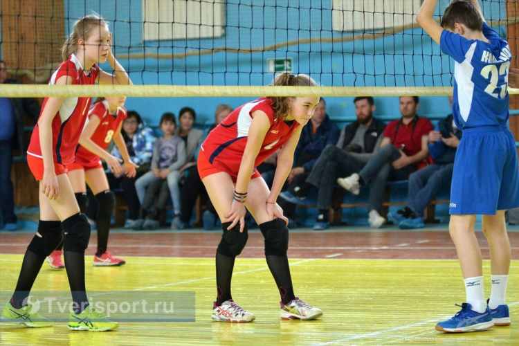 Игры волейбол краснодар