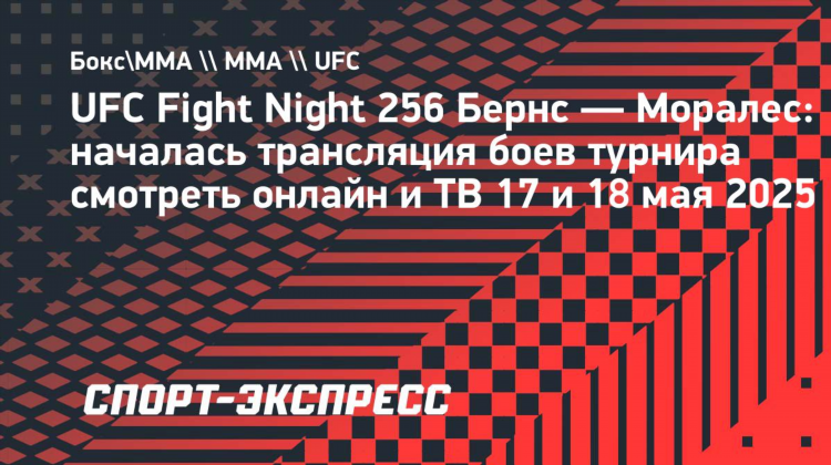 Матч бокс прямой эфир