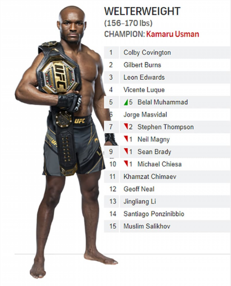 Рейтинги ufc на сегодня по весовым категориям
