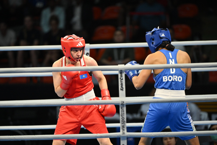 Спортбокс результаты сегодня