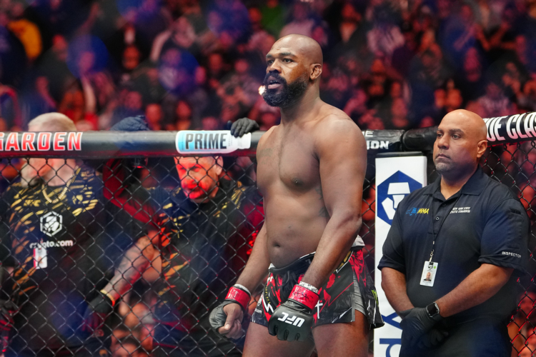 Тяжелый дивизион ufc