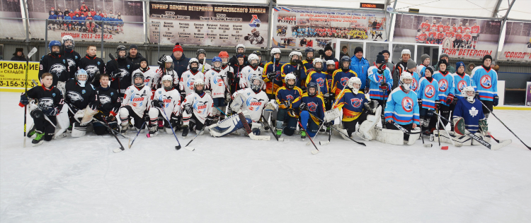 Трек хоккей 2012