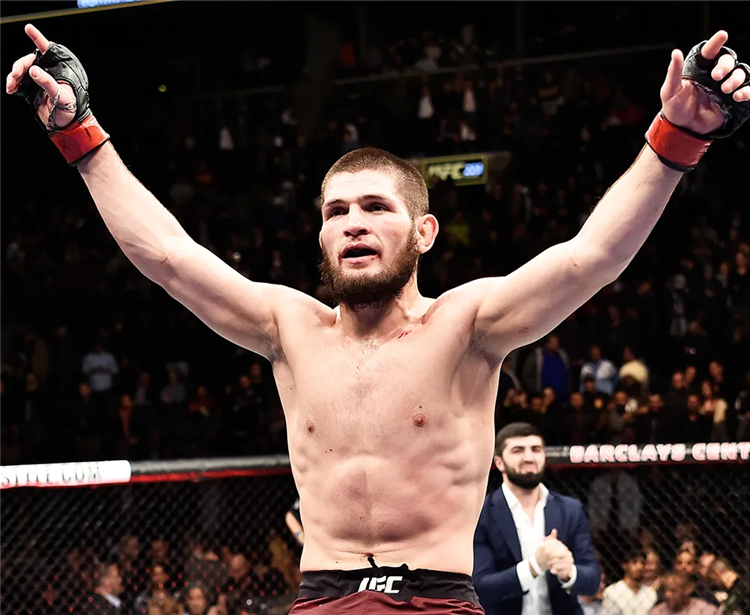 Все действующие чемпионы ufc на данный момент